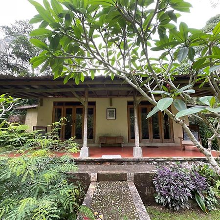 Carik Tangis Boutique Homestay Jatiluwih Dış mekan fotoğraf