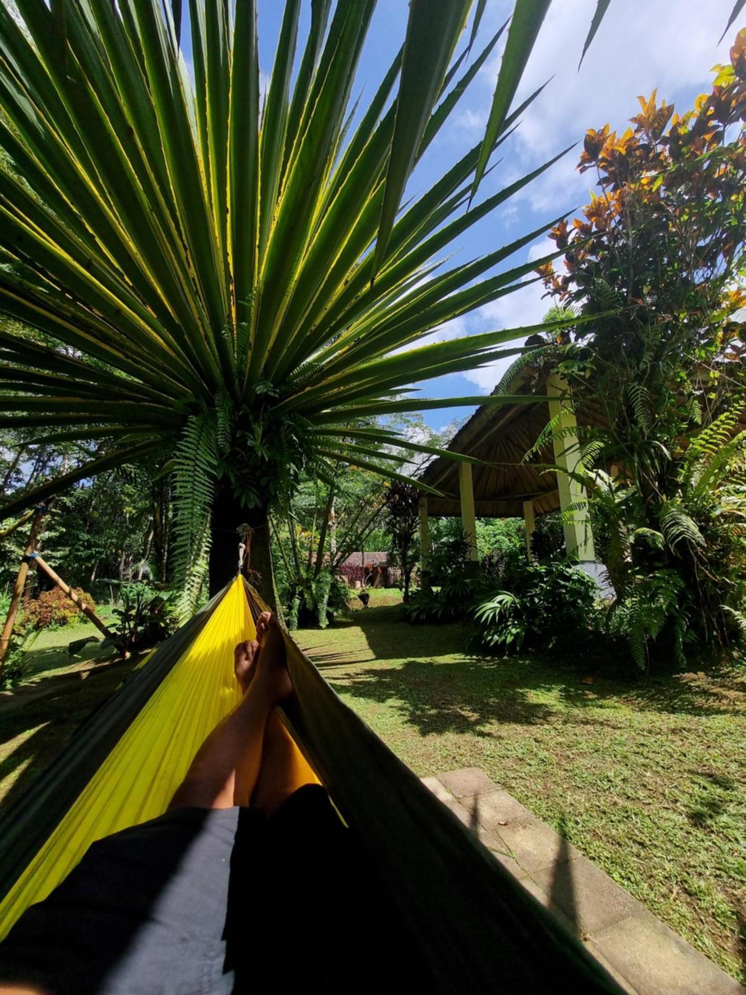 Carik Tangis Boutique Homestay Jatiluwih Dış mekan fotoğraf