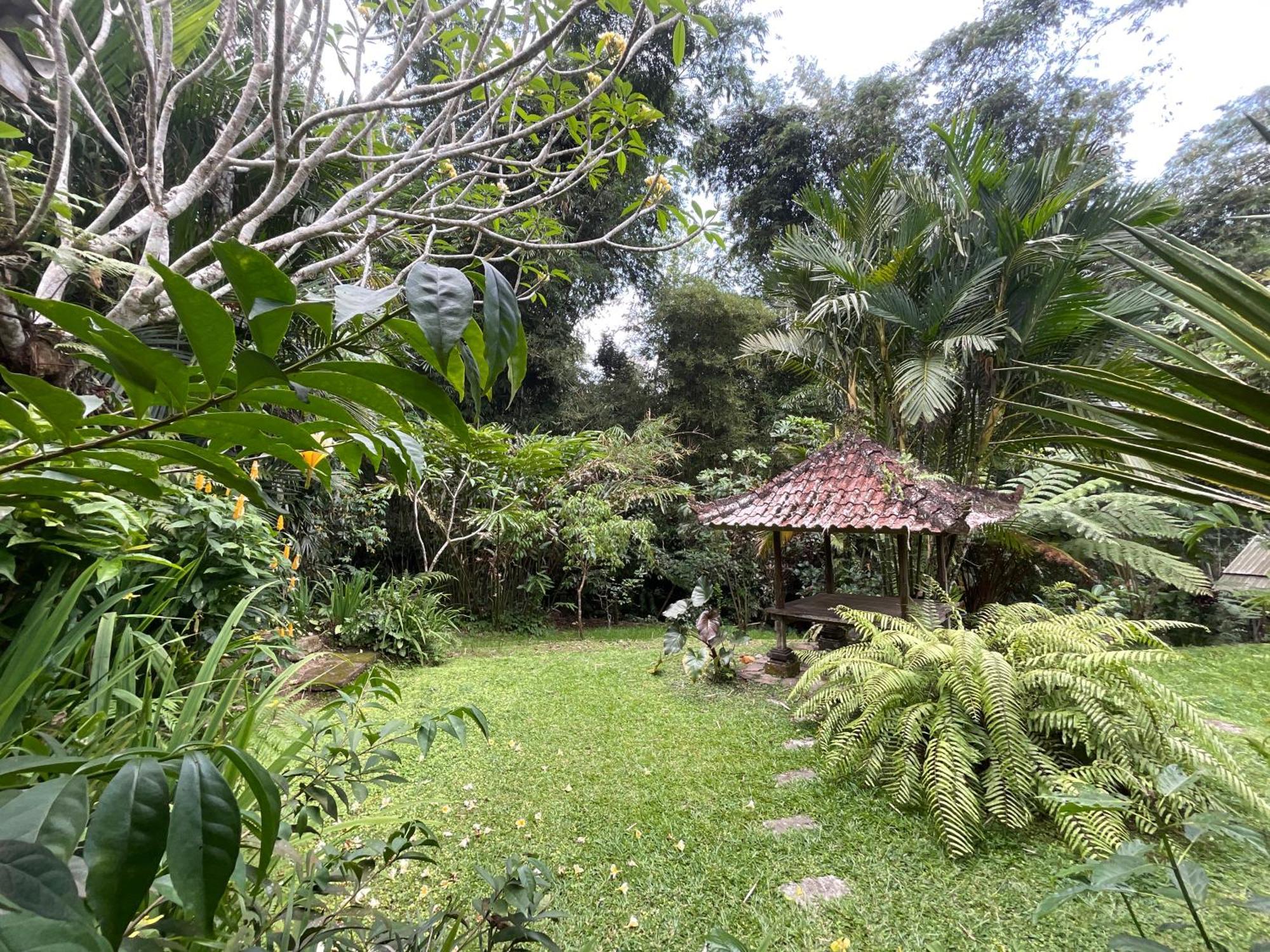 Carik Tangis Boutique Homestay Jatiluwih Dış mekan fotoğraf