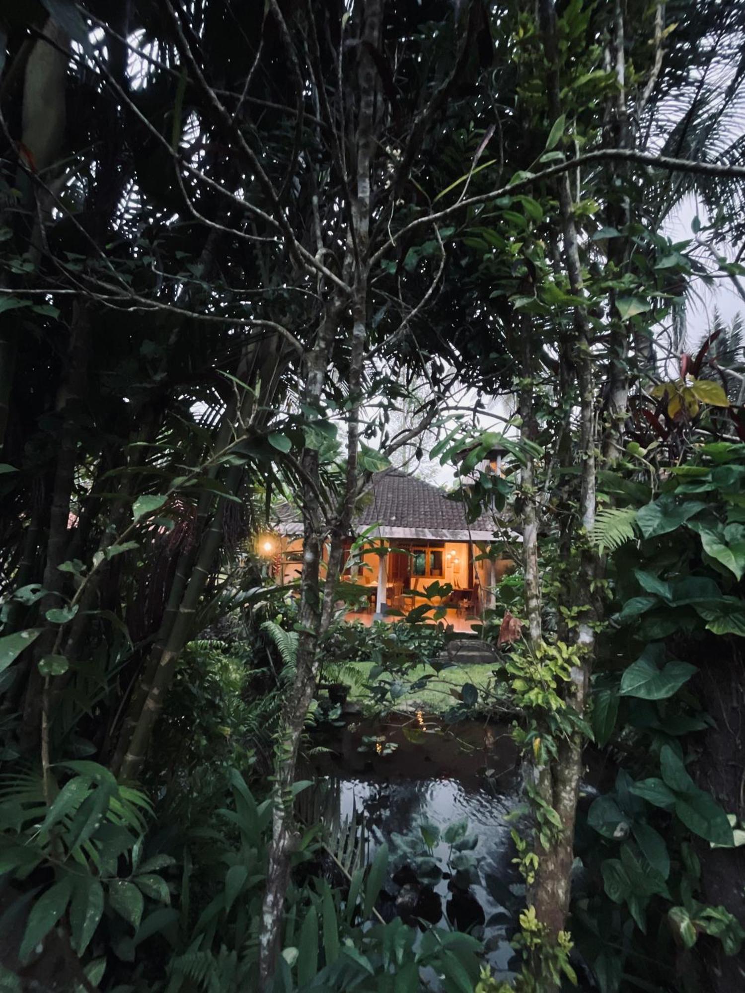 Carik Tangis Boutique Homestay Jatiluwih Dış mekan fotoğraf